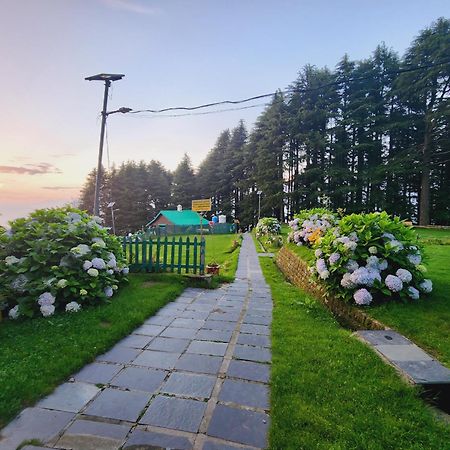 Forest Vibes Kalatop-Rooms And Restaurant Dalhousie Ngoại thất bức ảnh
