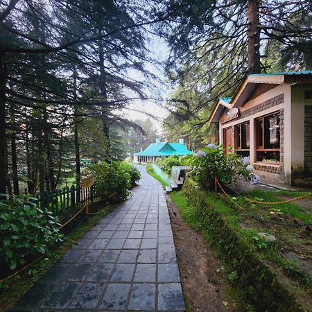 Forest Vibes Kalatop-Rooms And Restaurant Dalhousie Ngoại thất bức ảnh