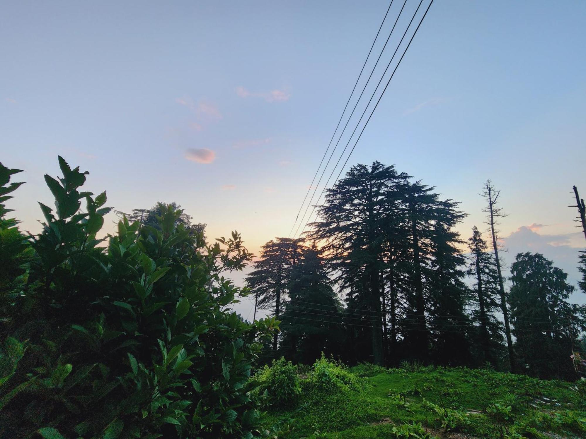 Forest Vibes Kalatop-Rooms And Restaurant Dalhousie Ngoại thất bức ảnh