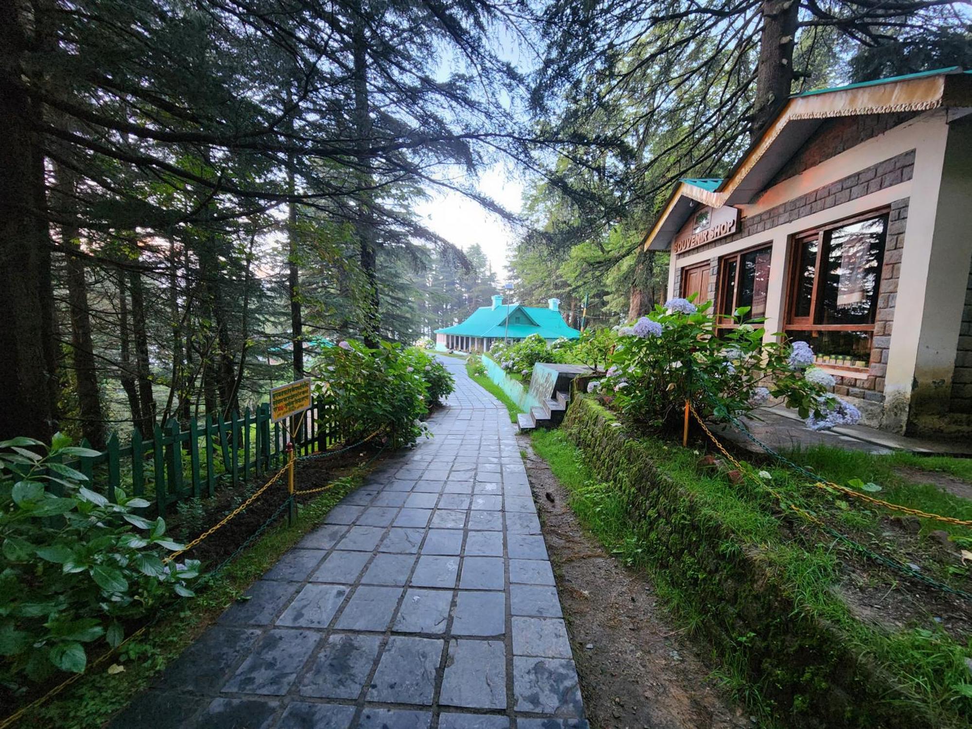 Forest Vibes Kalatop-Rooms And Restaurant Dalhousie Ngoại thất bức ảnh