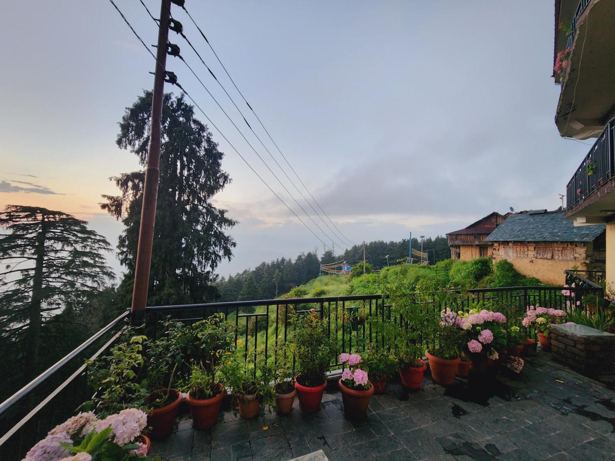 Forest Vibes Kalatop-Rooms And Restaurant Dalhousie Ngoại thất bức ảnh