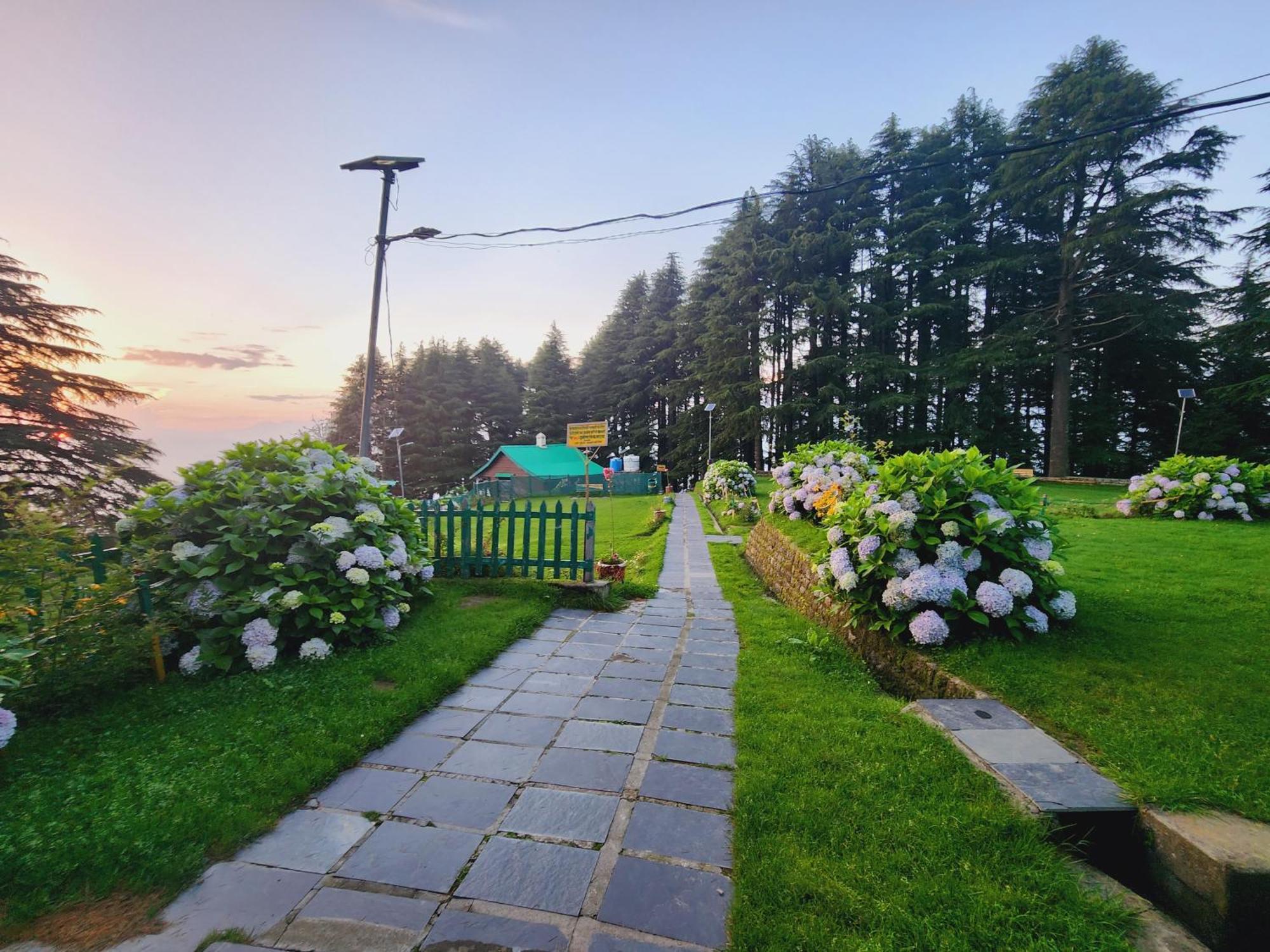 Forest Vibes Kalatop-Rooms And Restaurant Dalhousie Ngoại thất bức ảnh
