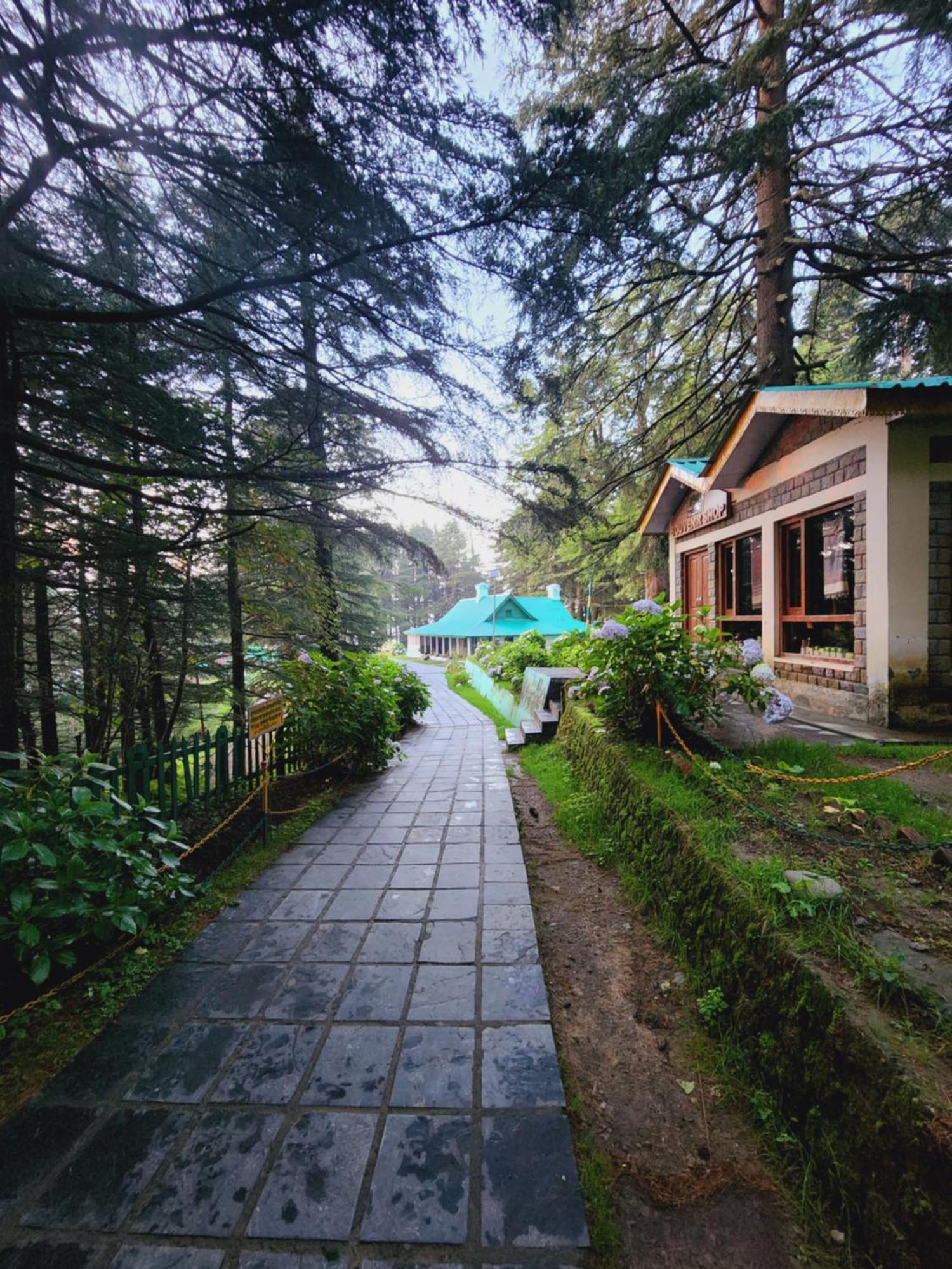 Forest Vibes Kalatop-Rooms And Restaurant Dalhousie Ngoại thất bức ảnh