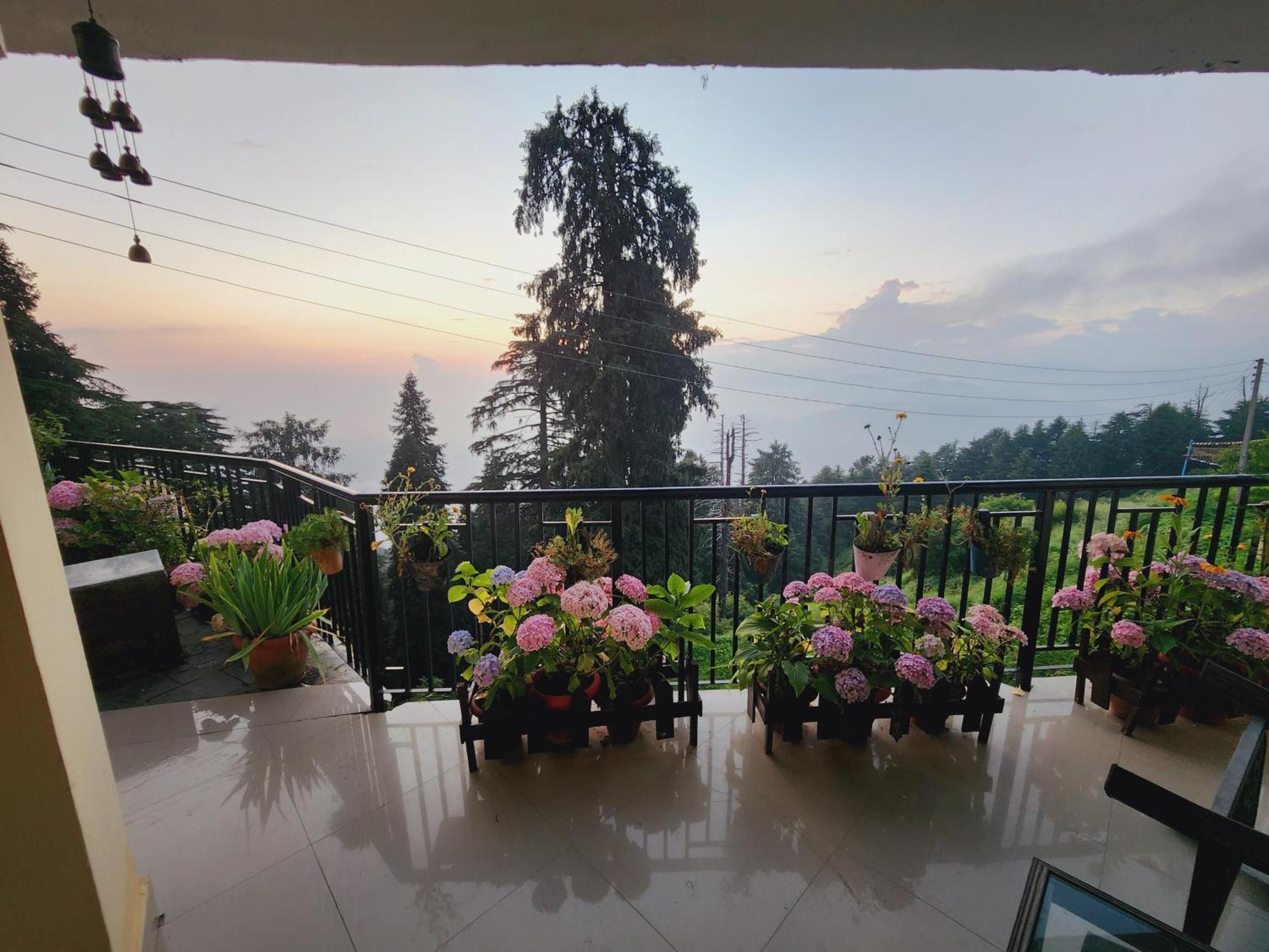 Forest Vibes Kalatop-Rooms And Restaurant Dalhousie Ngoại thất bức ảnh